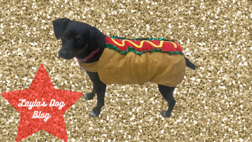 Dog Costume